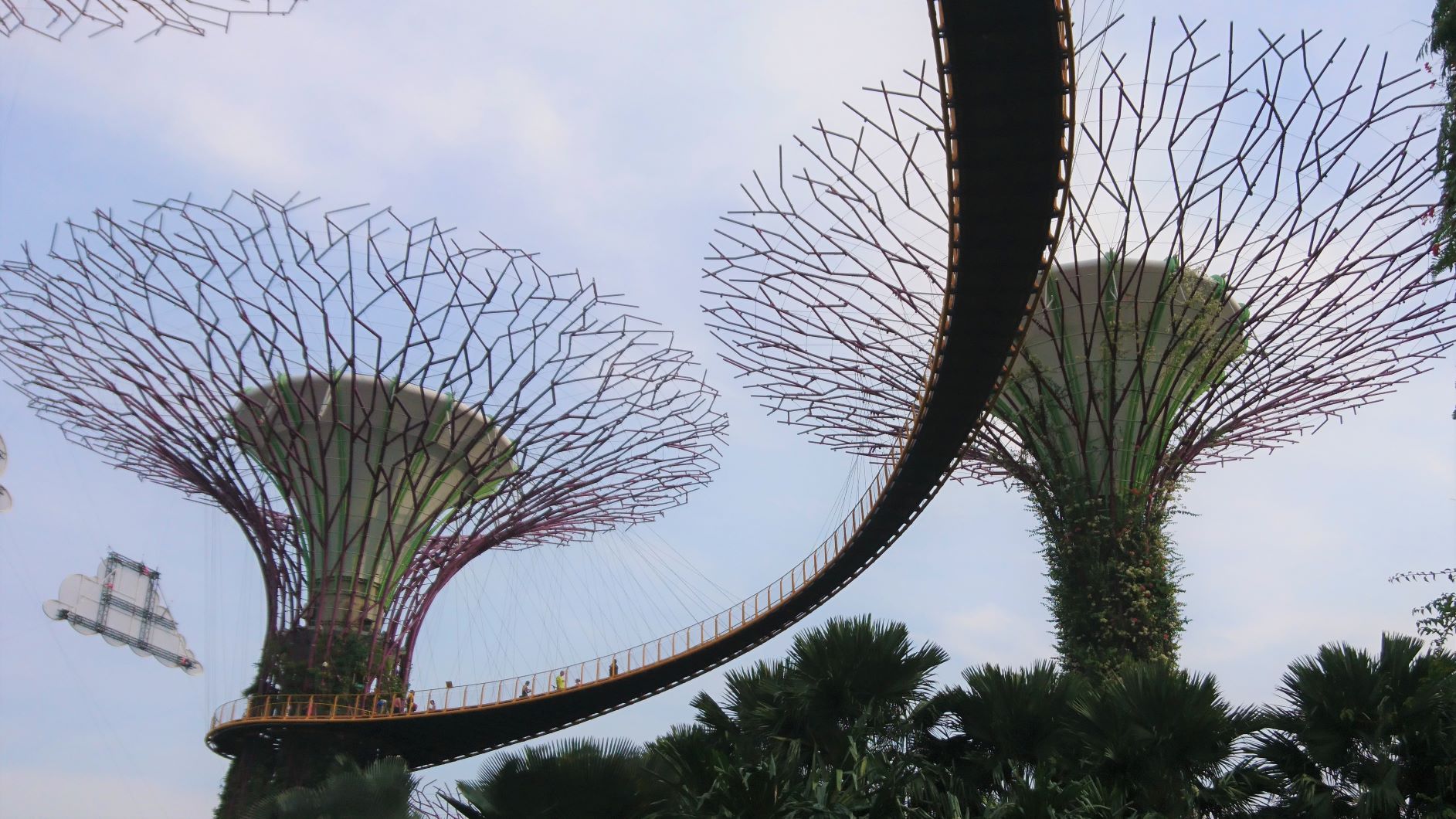 Gardens By the Bay, Singapore