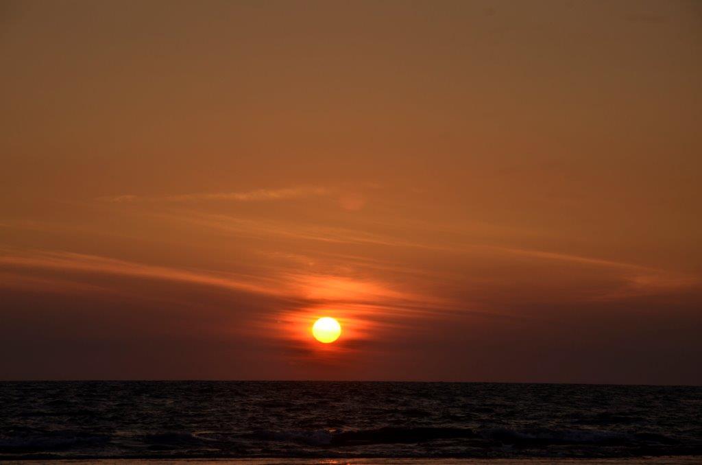 Negombo - DSC0921.jpg